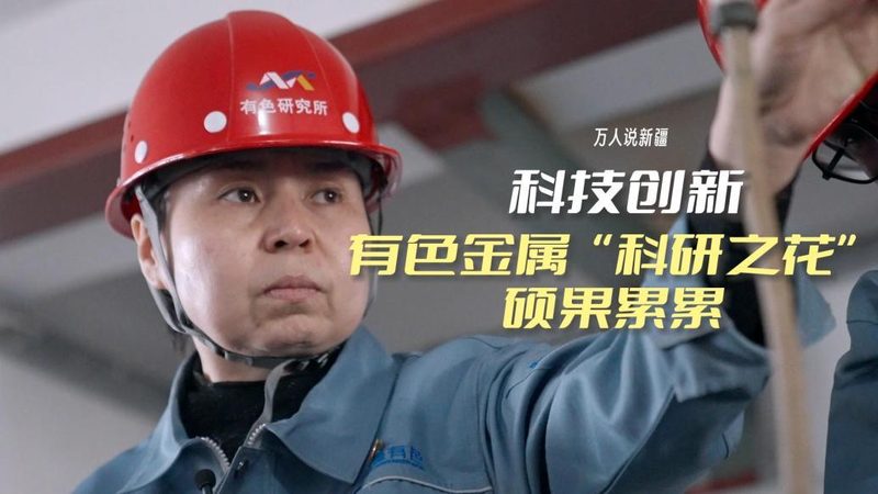 数字化改造：企业升级的“破茧成蝶